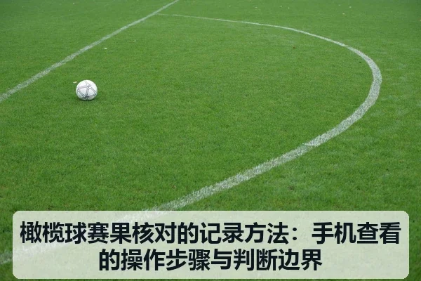 橄榄球赛果核对的记录方法:手机查看的操作步骤与判断边界